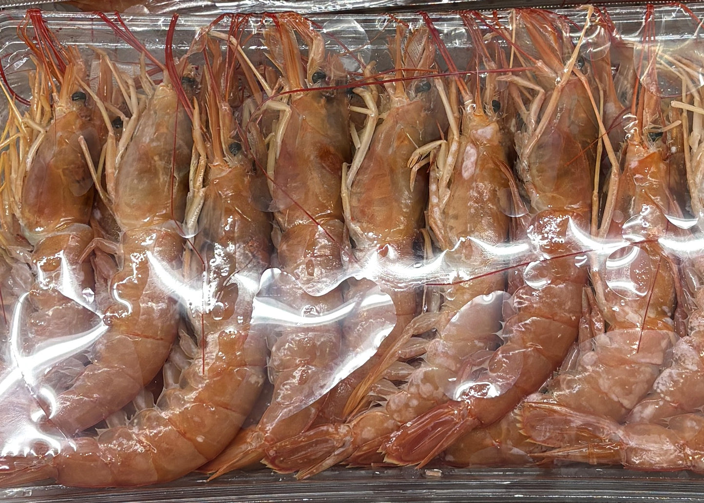 冷凍 赤エビ by 2kg Case from Argentine