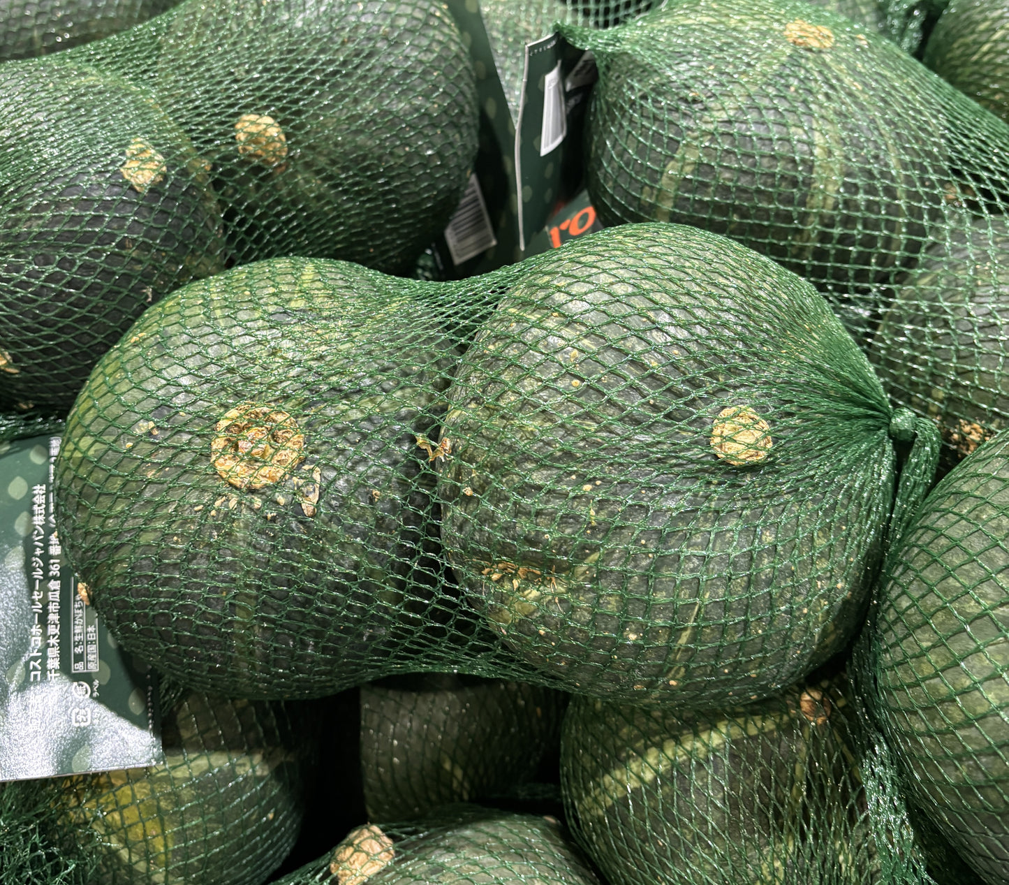 KABOCHA Squash 2-ct