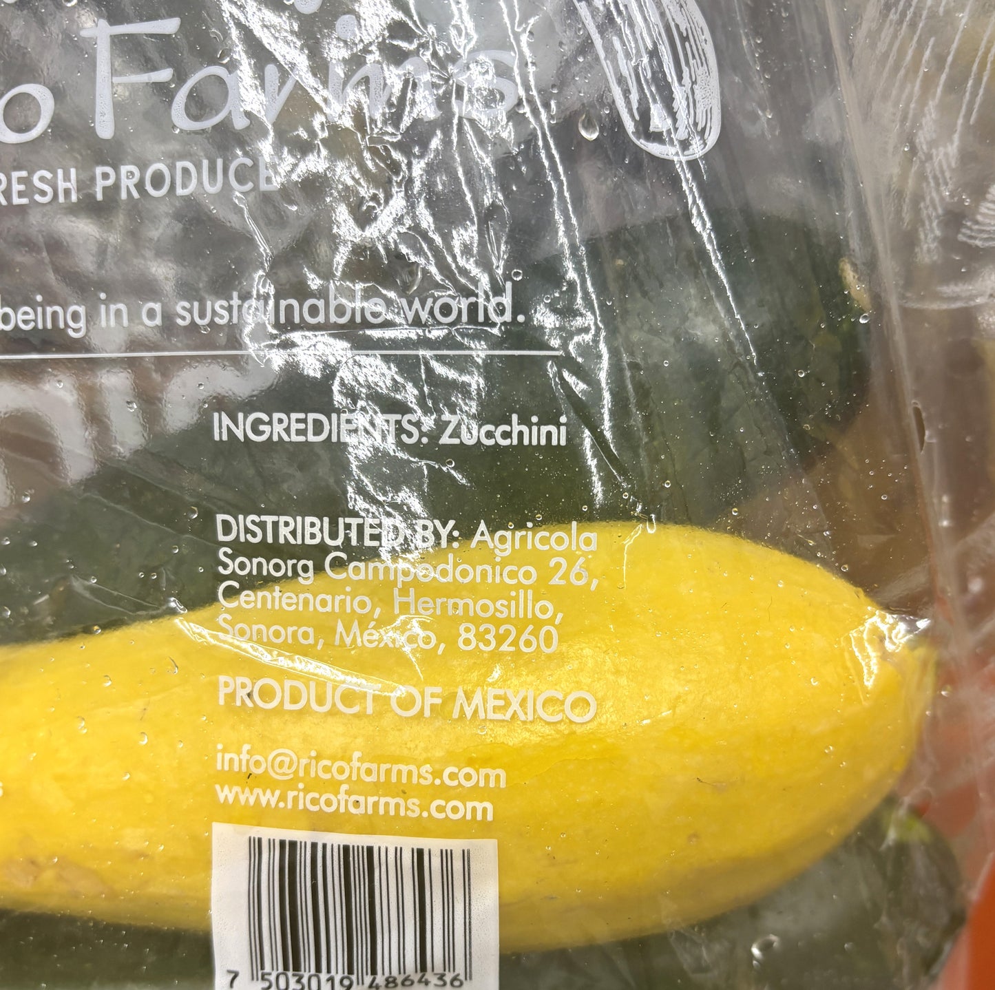 Zucchini from Mexico 5-ct 907-g