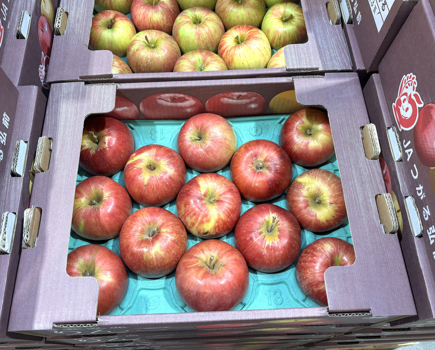 Tsugaru Apples 2.8-kg