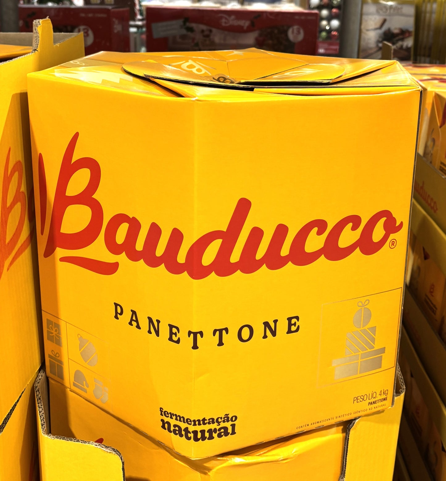 Panettone Bauduccico Holiday Bread 4-kg