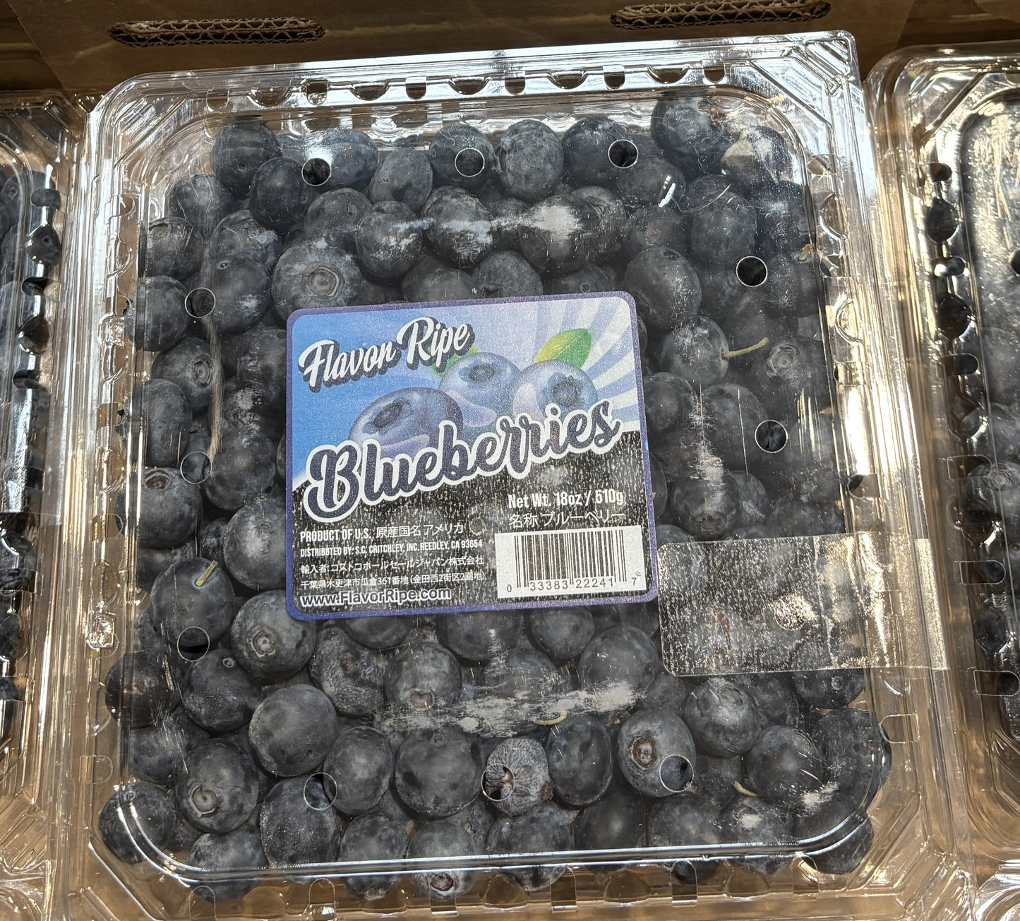 Fresh Blueberries - 510g/18oz (plastic case)