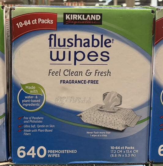 Kirkland Signature フラッシャブル ワイプ 無香料 (10 x 64-sheets)