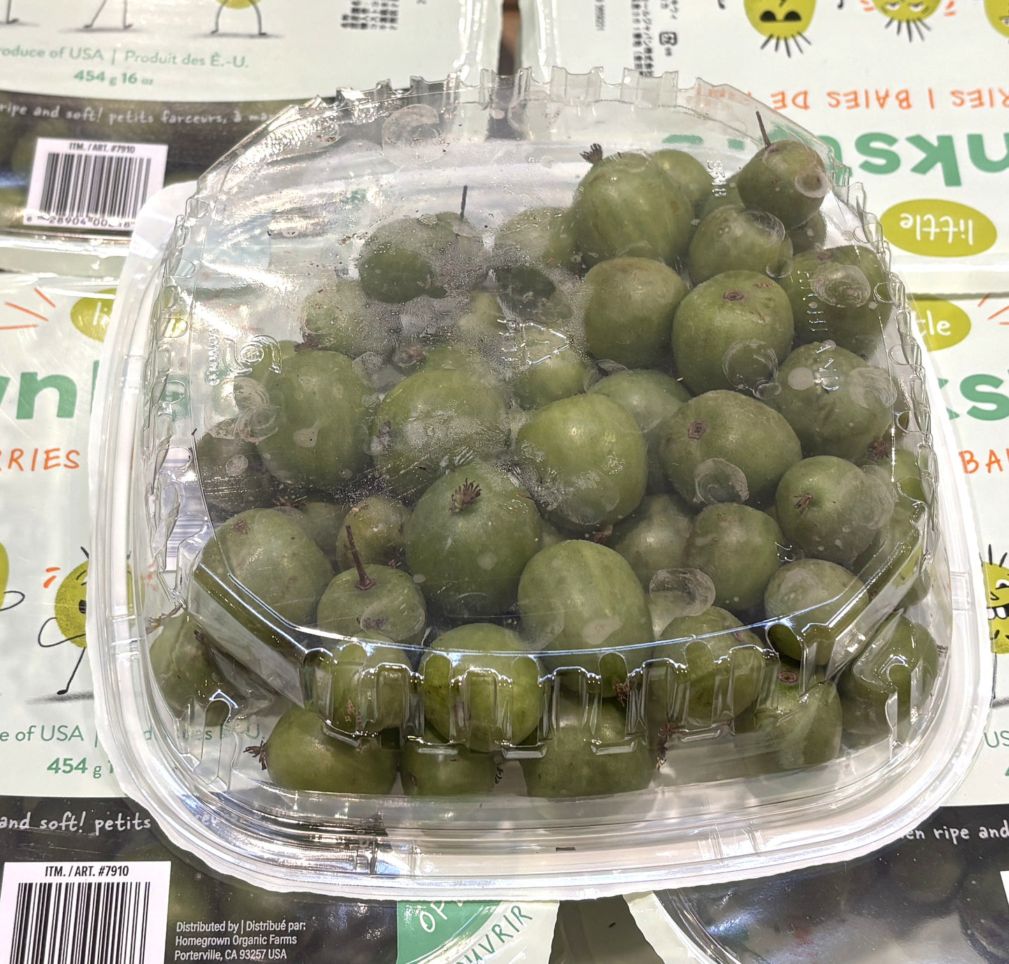 Fresh Kiwi Berries 454-g