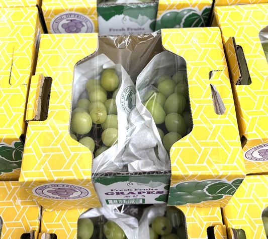Shine Muscat Grape 1.0-kg Product of Japan