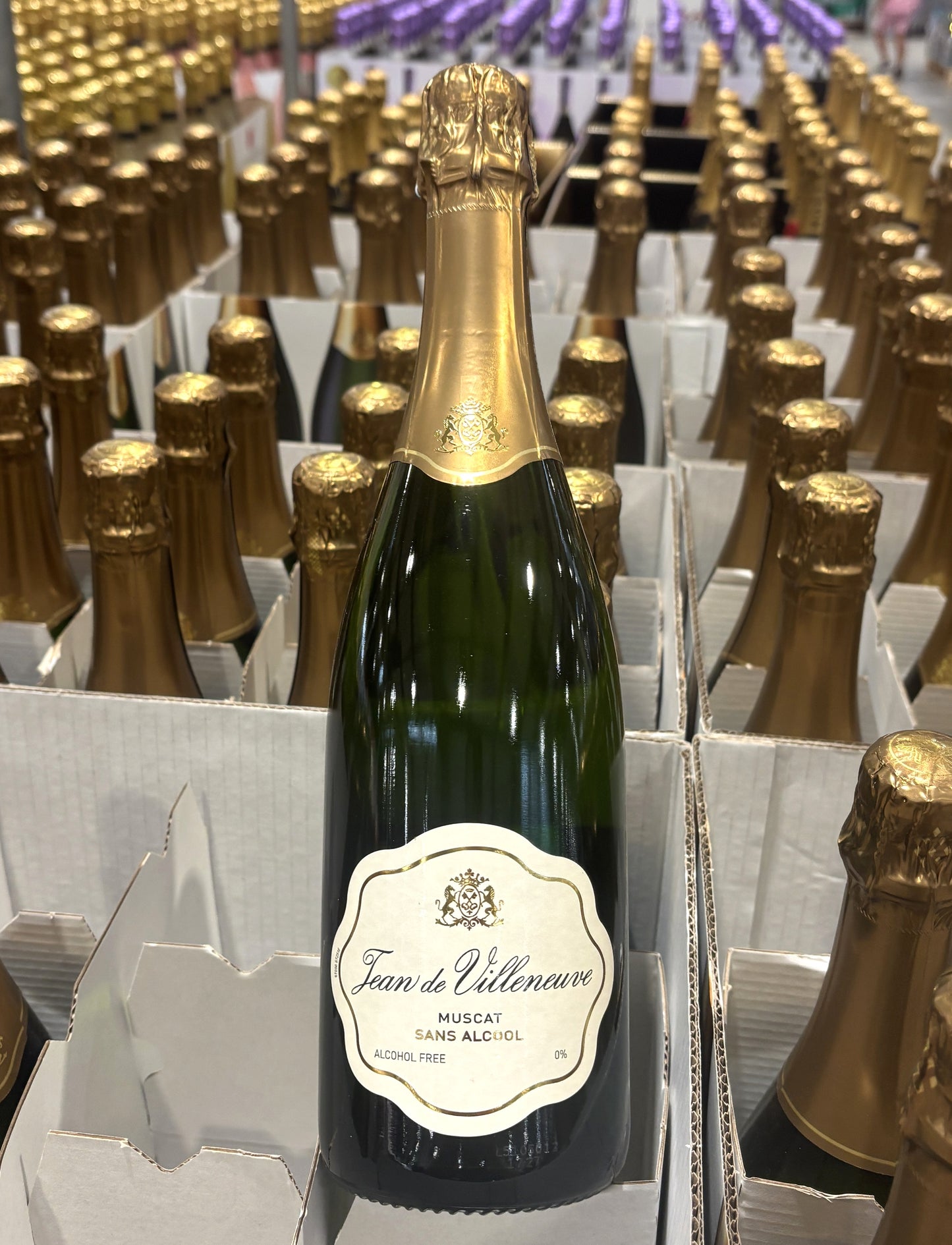 Muscat Non-ALC Sparkling "Jean De Villeneuve" 750ml (glass bottle)