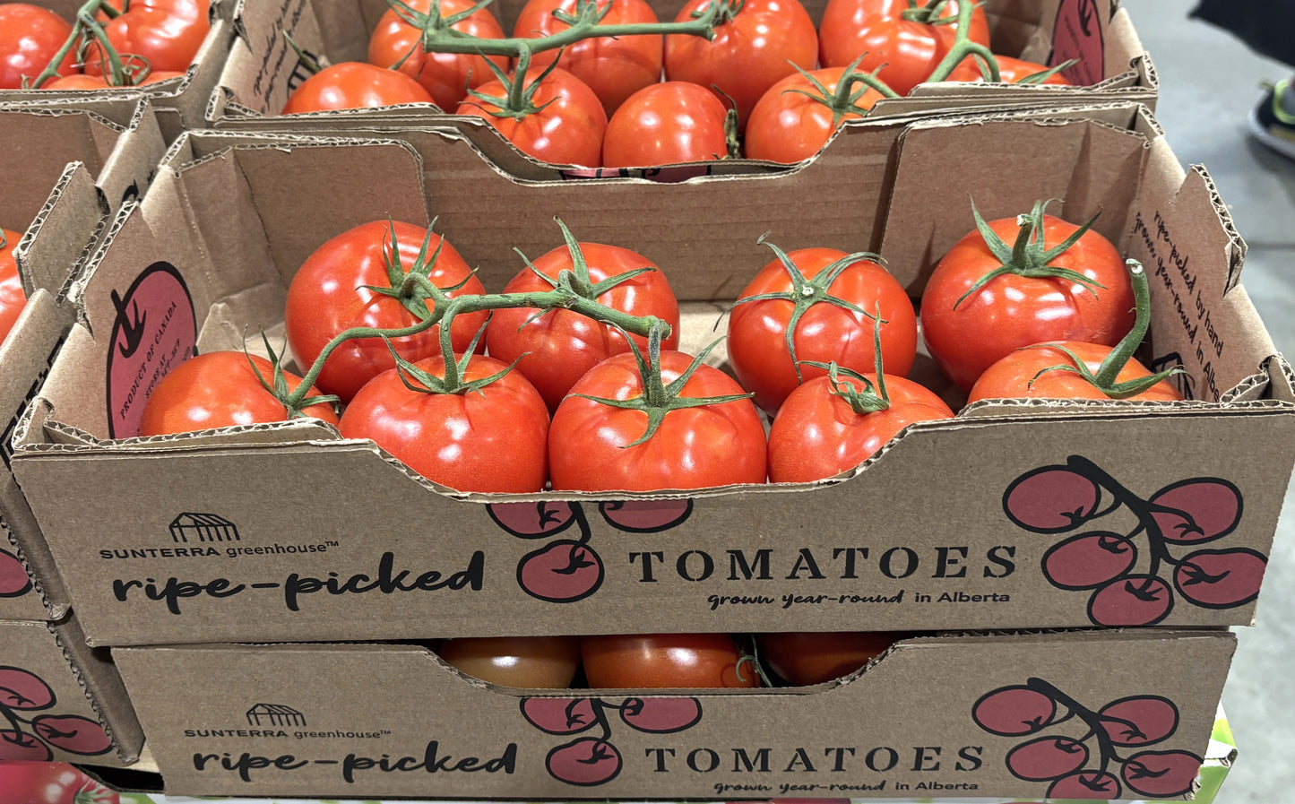 Product of Canada Tomatoes on the Vine 1.8-kg
