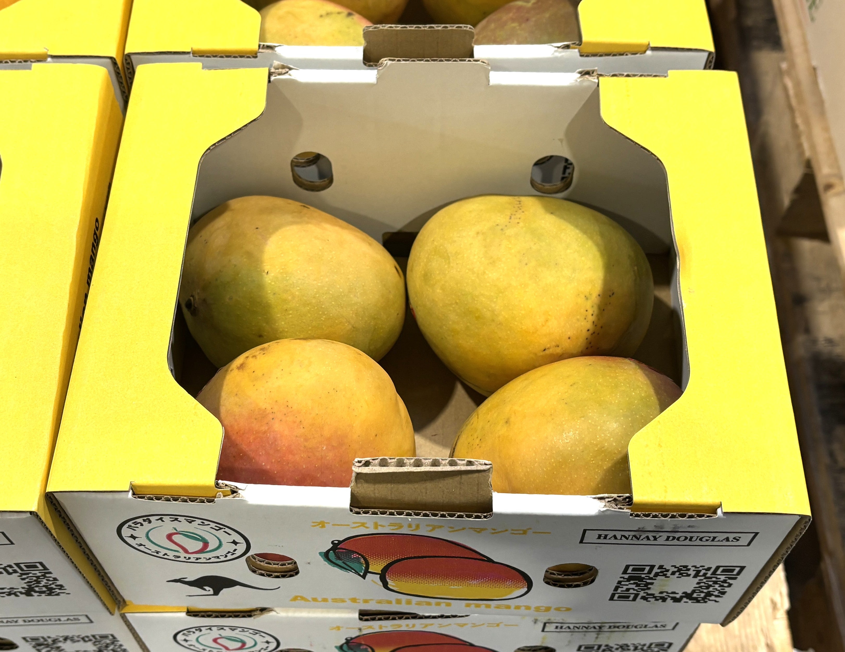 オーストラリアン マンゴー 4玉 – TheFlyingPig.Com - Online Shop