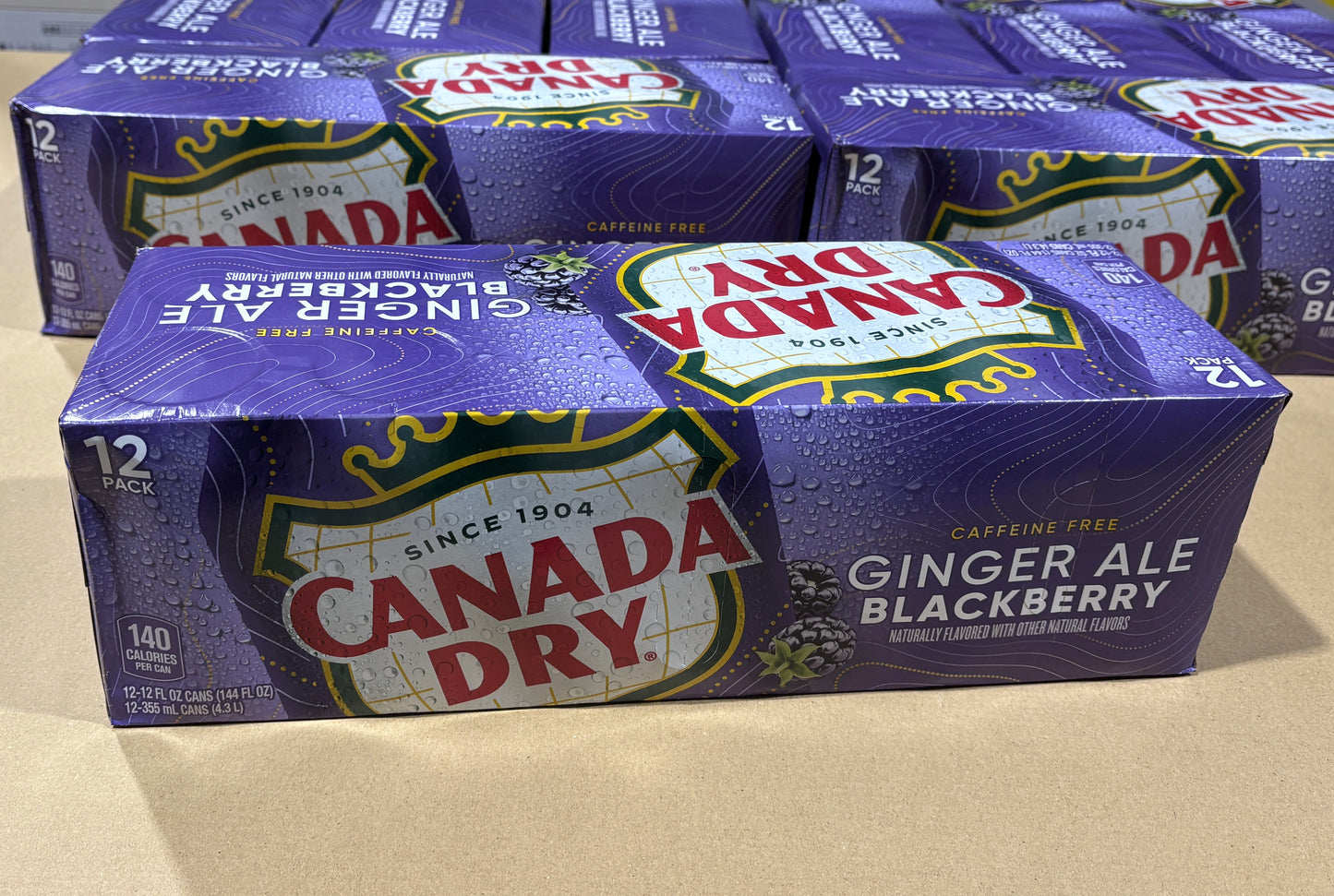 CANADA DRY Ginger Ale Blackberry (355-ml) 12 cans