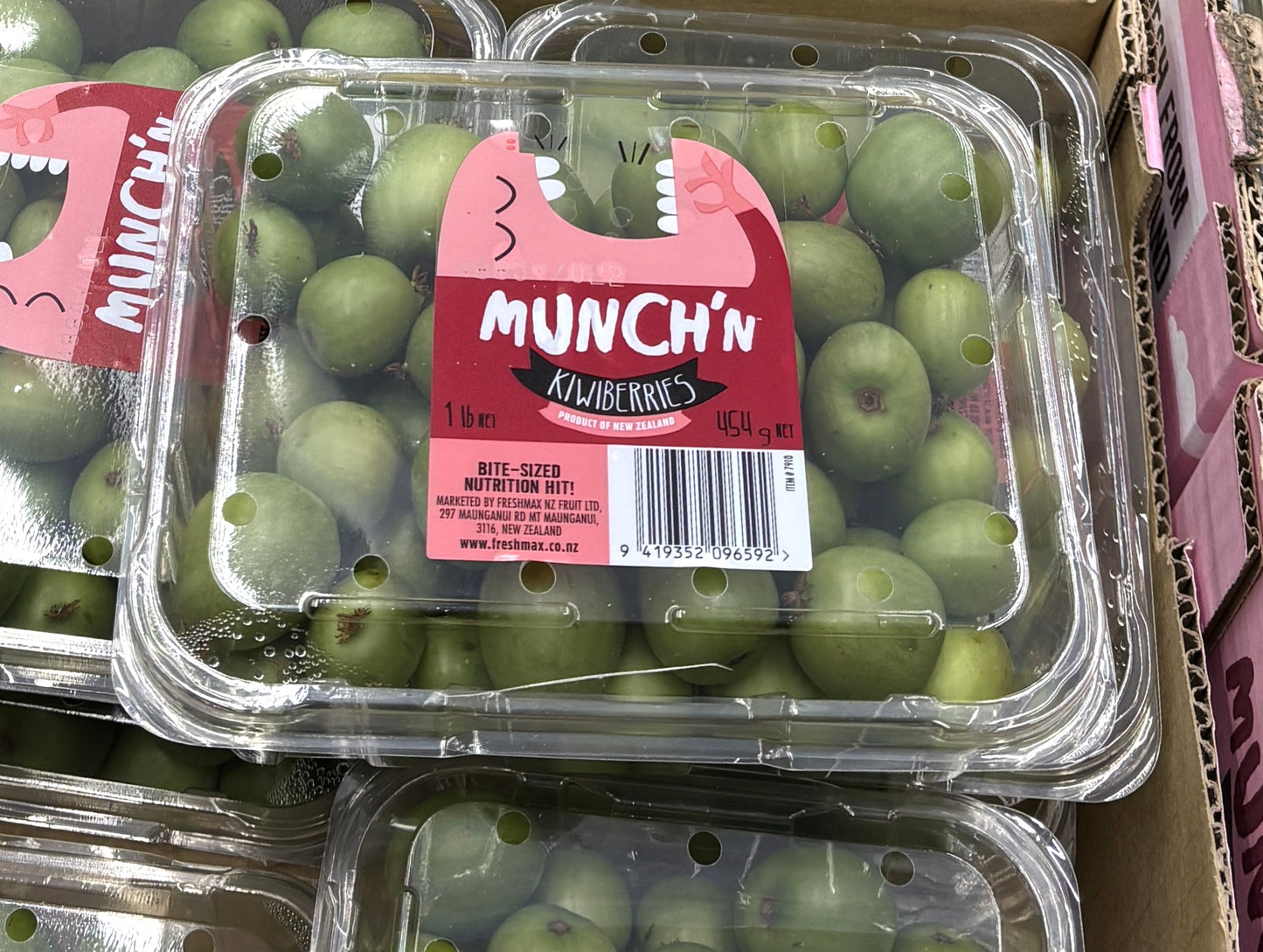 Fresh ベビーキウイ from USA or NZ 454-g