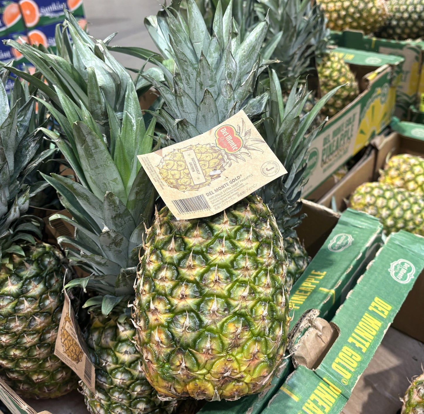 Delmont Fresh Gold Pineapple (single)