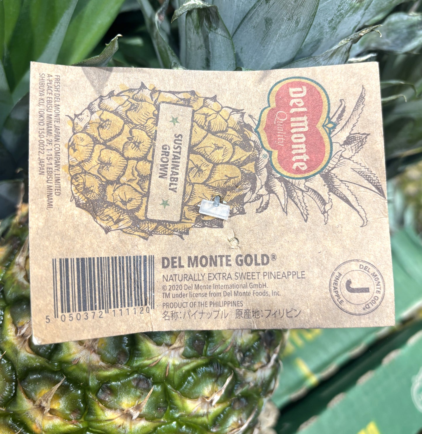 Delmont Fresh Gold Pineapple (single)