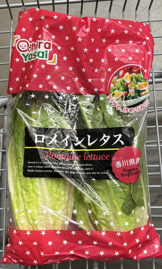国産 ロメインレタス 2-ct